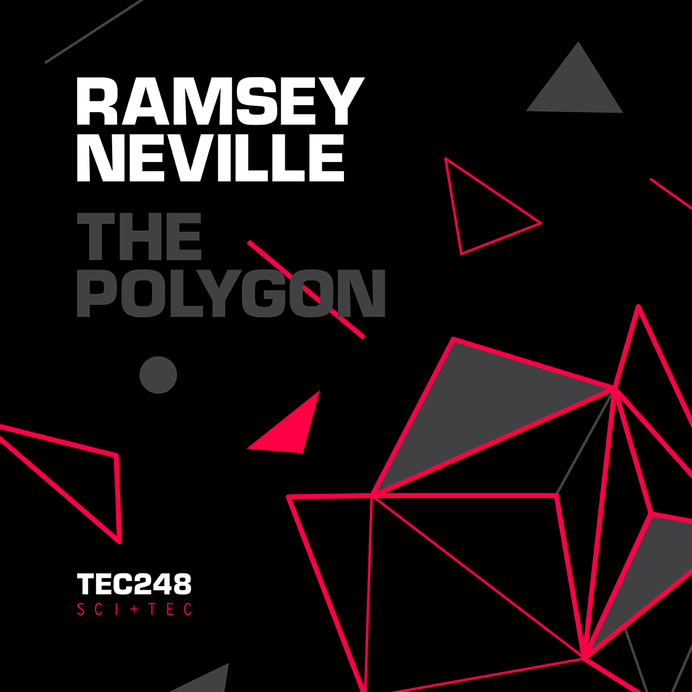 The Polygon Ramsey Neville